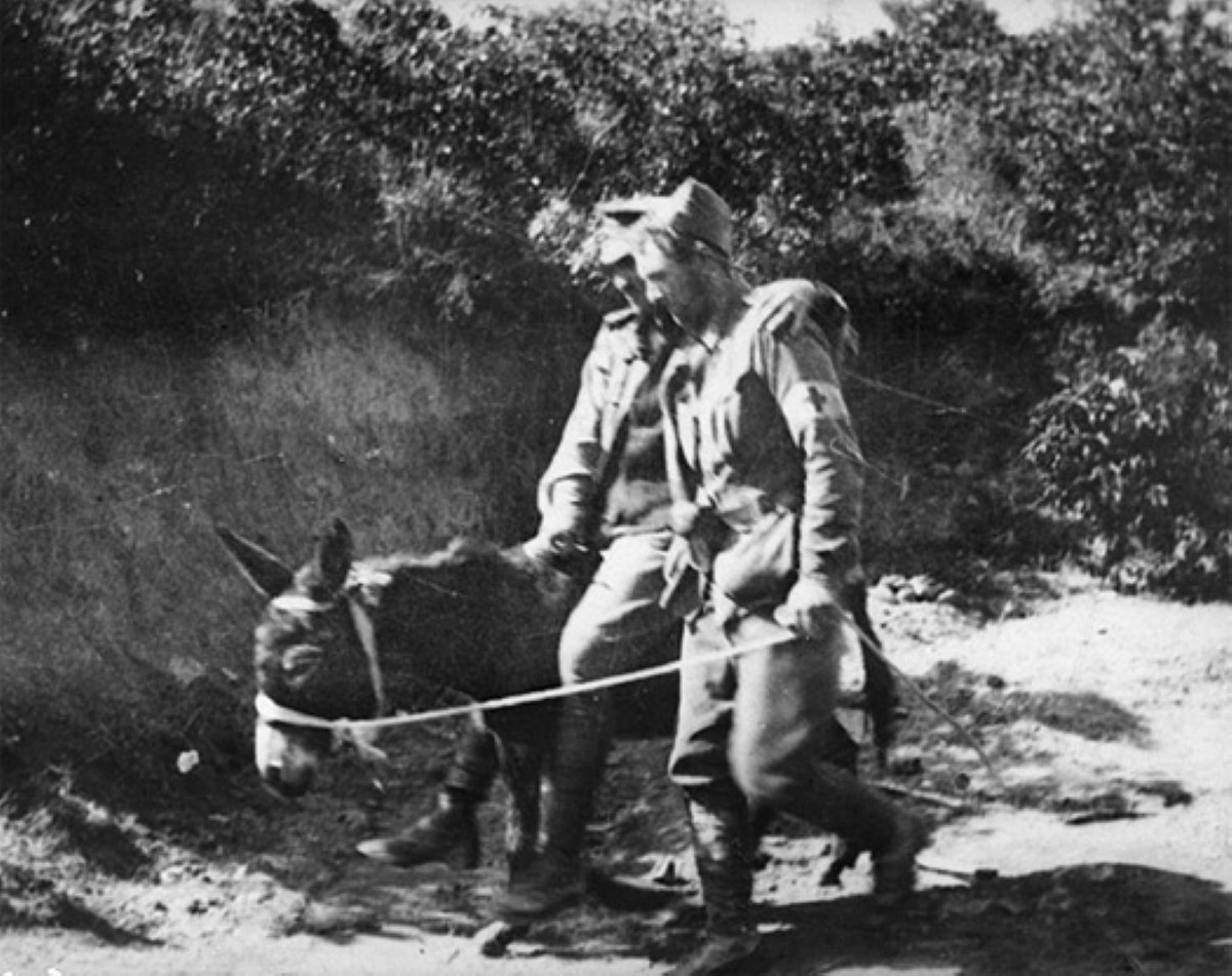 John Simpson and his donkey