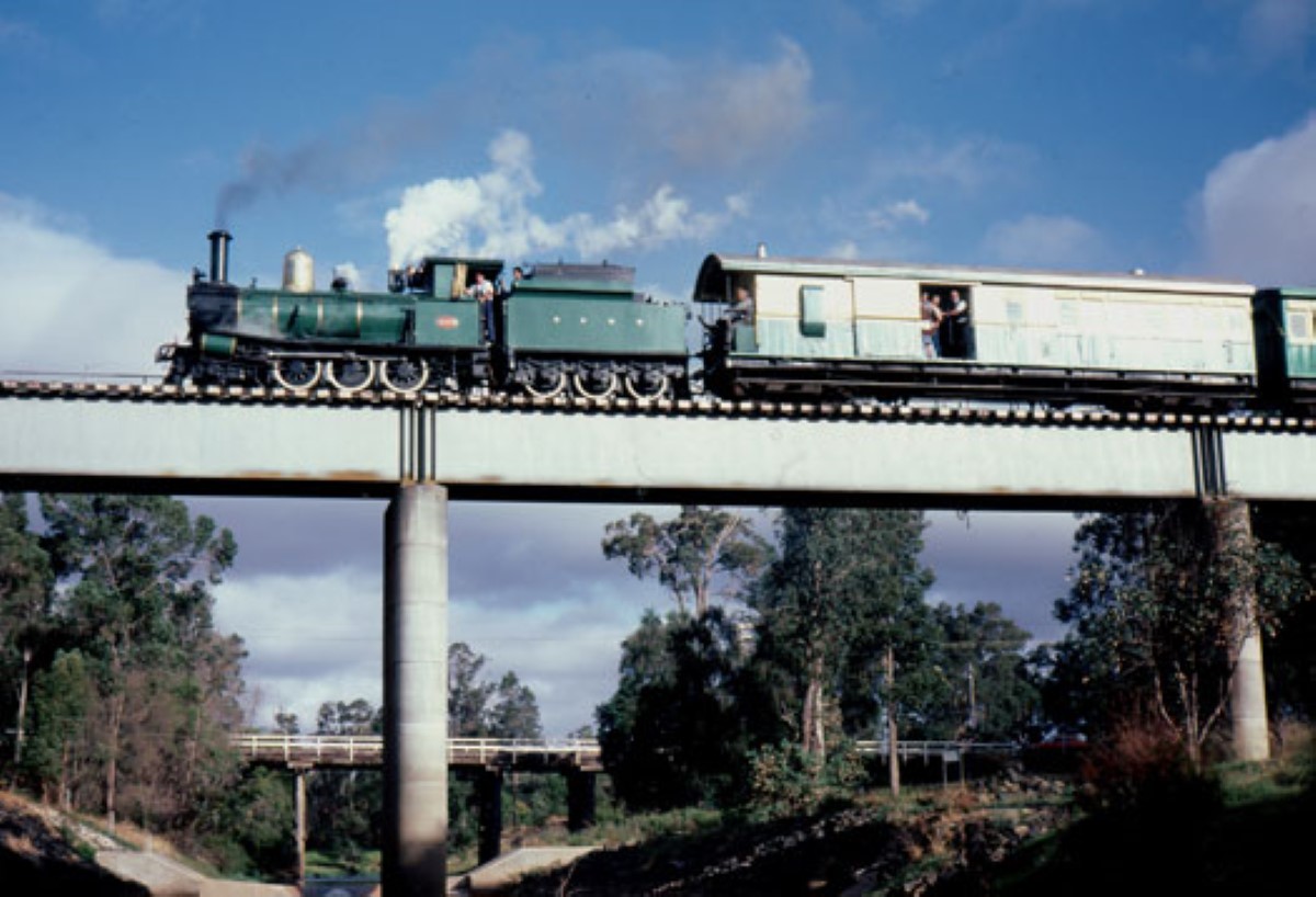 leschenaultladysteamtrain2 1200