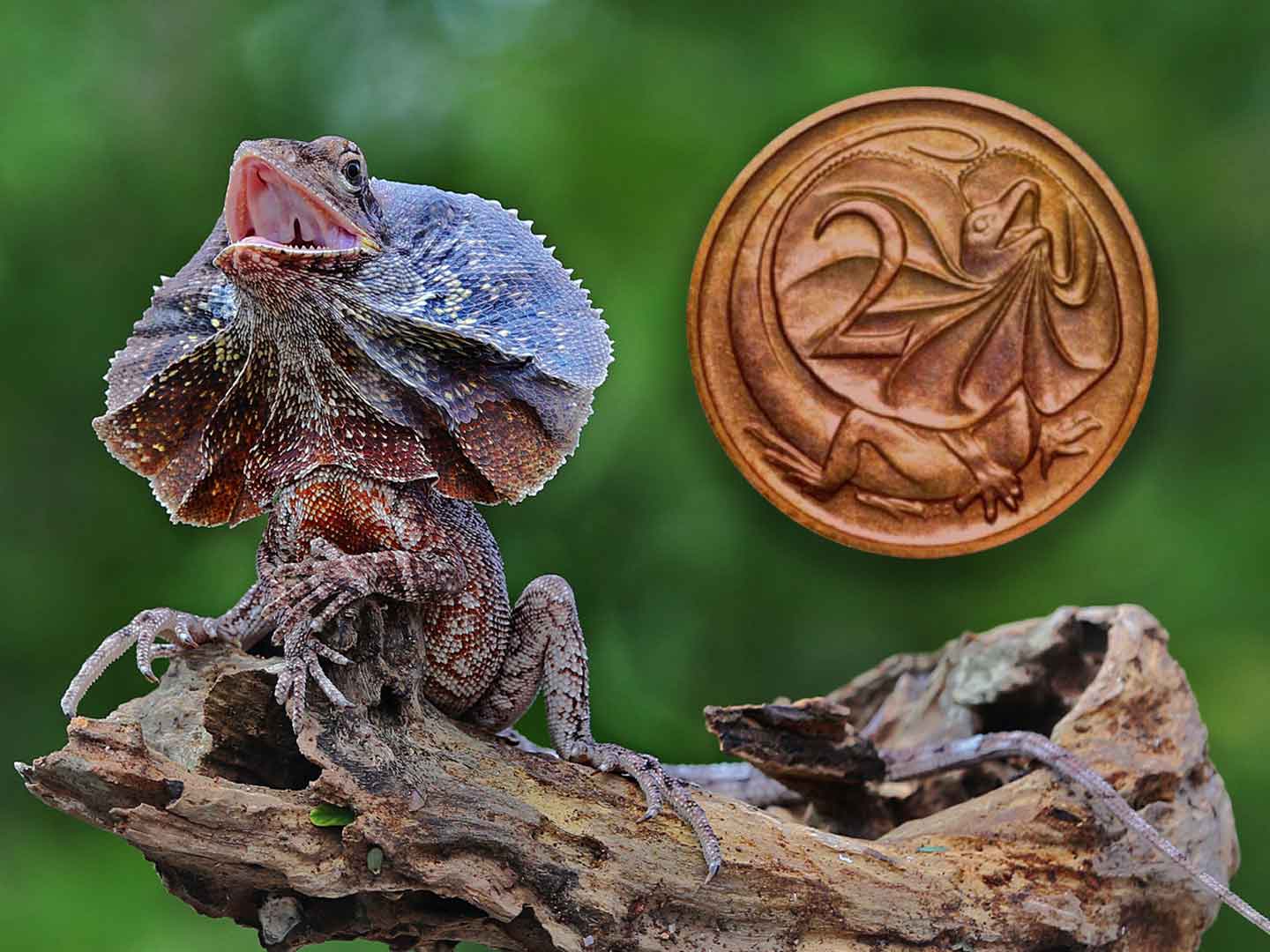 Two Cents 1440 x 1080