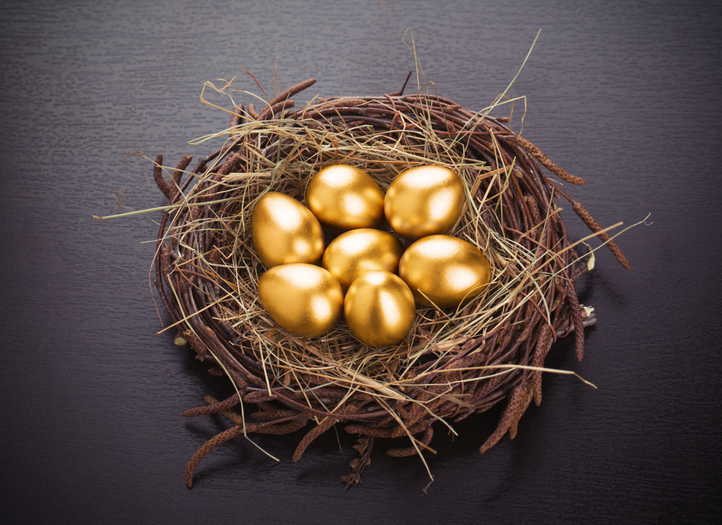 a nest of golden eggs
