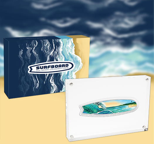 surfboard coin with packaging