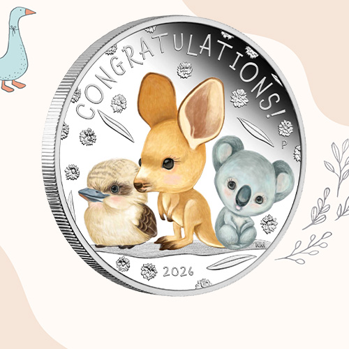 2026 newborn baby coins