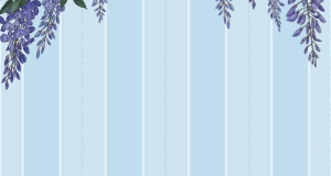 Briderton Launch   homepage dynamic banner Background