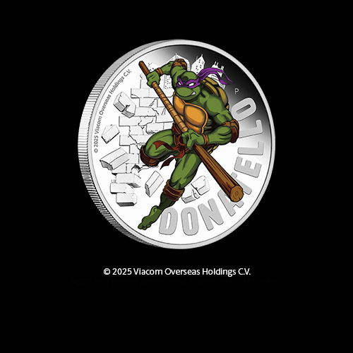 Christmas gift for him 2025 - Teenage Mutant Ninja Turtle coin