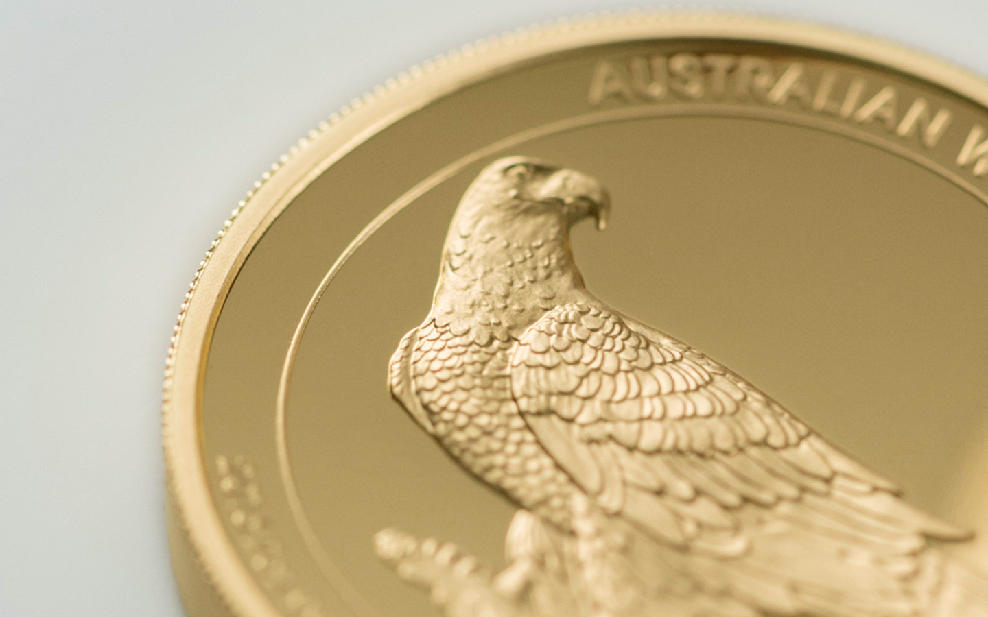 Australian Wedge-Tail Eagle at The Perth Mint.
