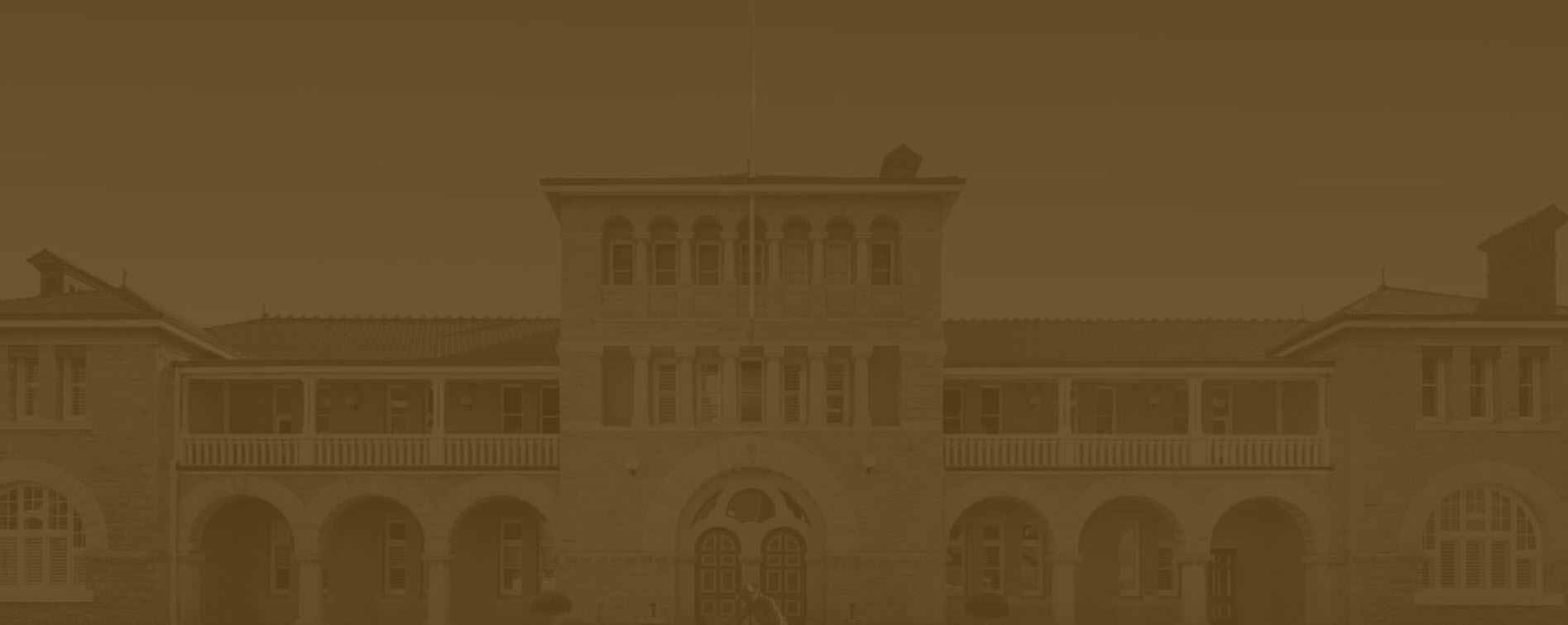 TPM gold background