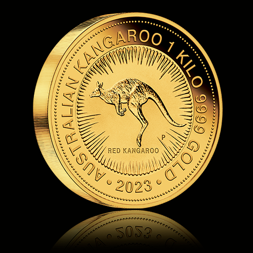 640X480 1kilo kangaroo 2023