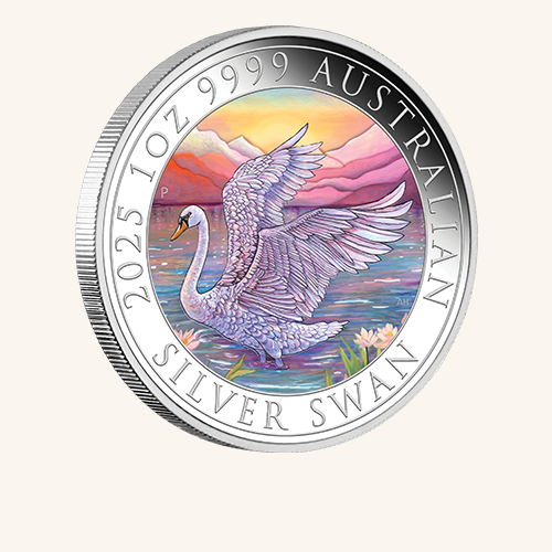 500X500 australian swan 2025