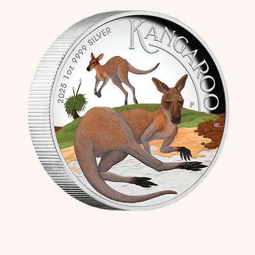 500X500 Kangaroo 2025