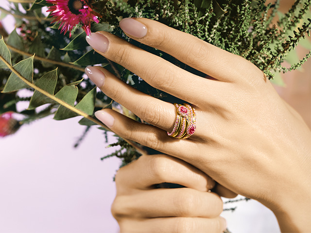 640X480 Argyle Treasures hero banner mobile