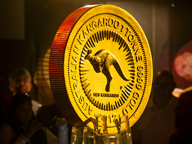 640X480 1 tone gold coin 2025