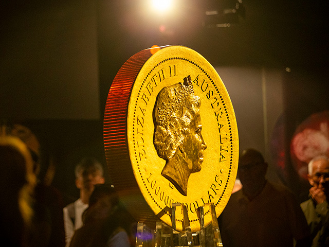 640X480 1 tone gold coin observe 2025