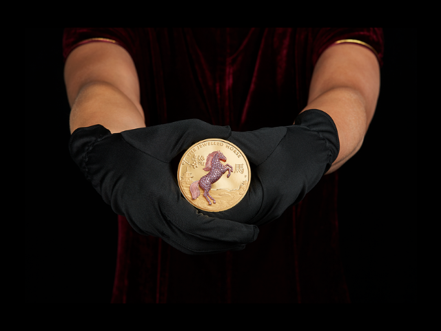 jewelled horse (640 x 480 px)