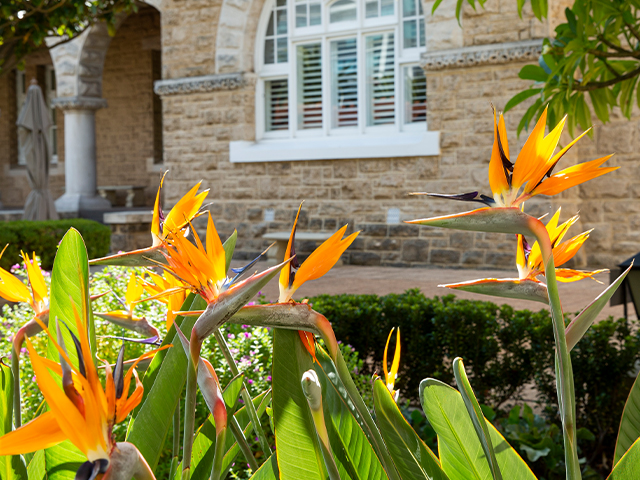 Integrity hero banne mobile 640X480