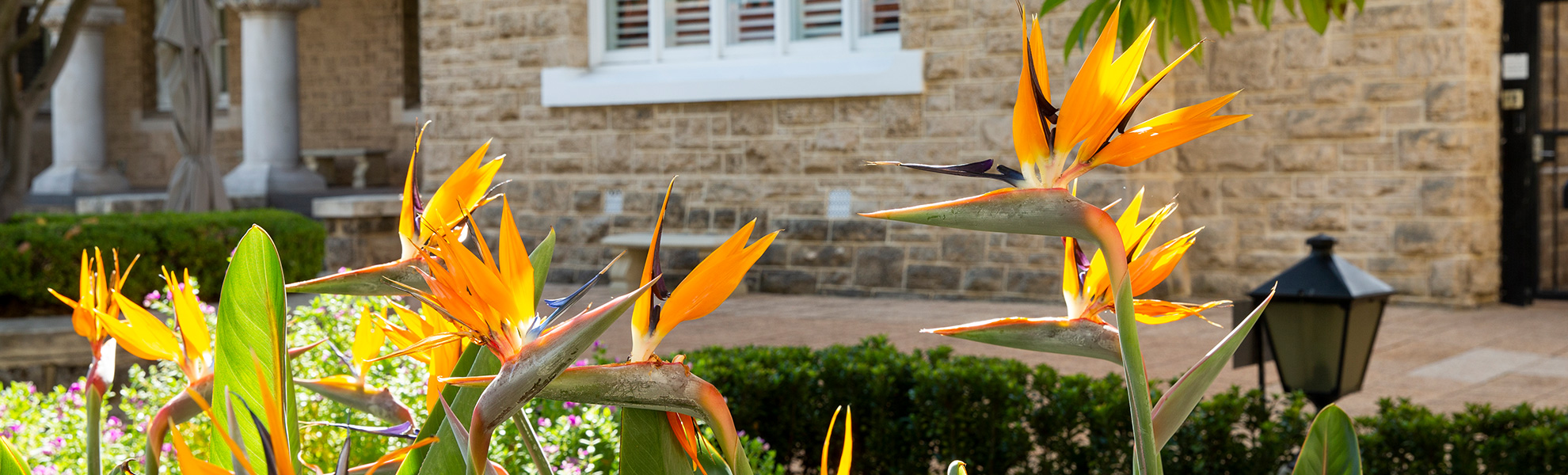 Integrity hero banner 1980X600