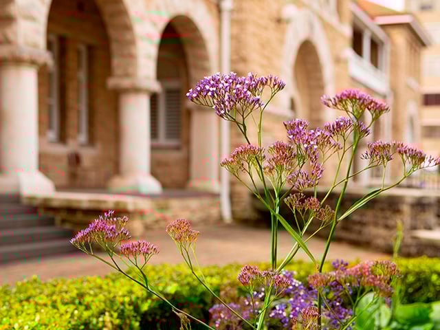 Sustainability hero banne mobile v1 640X480