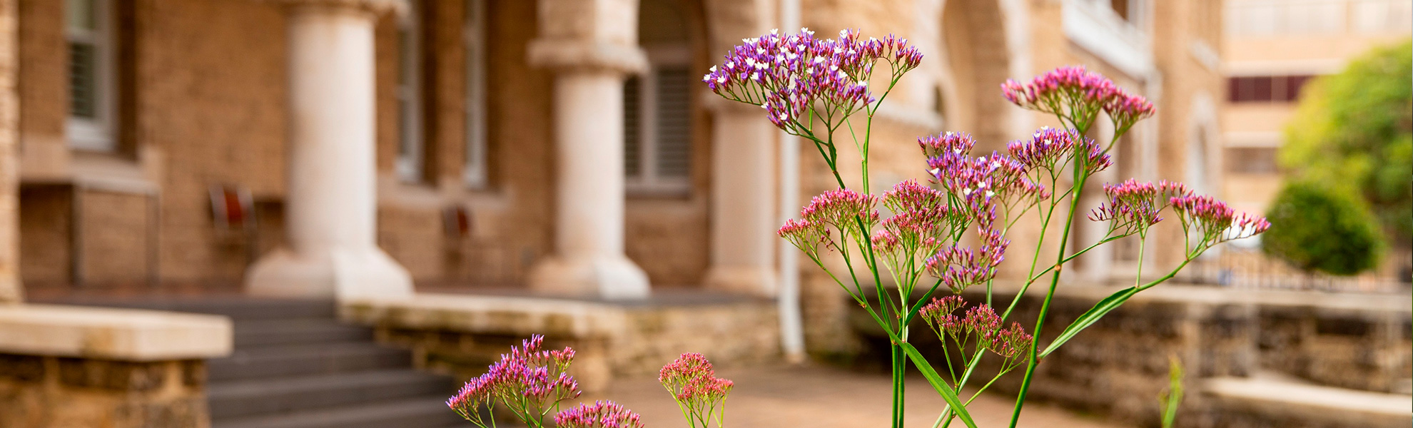 Sustainability hero banner v1 1980X600