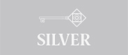 VIP silver key v1