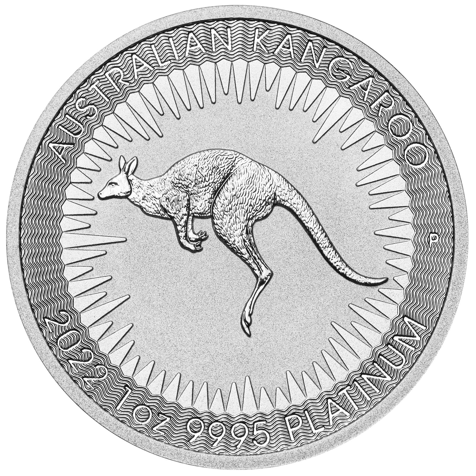 02 2022 AustralianKangaroo Platinum 1oz Bullion StraightOn HighRes