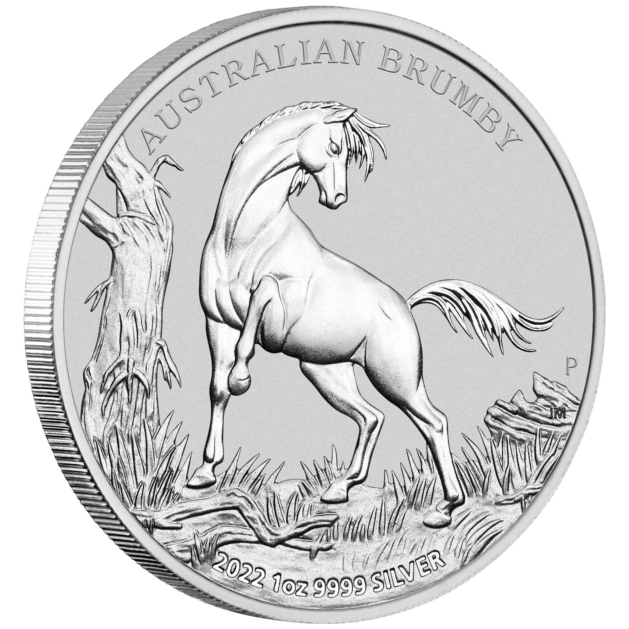 01 2022 AustralianBrumby 1oz Silver Bullion Coin OnEdge HighRes