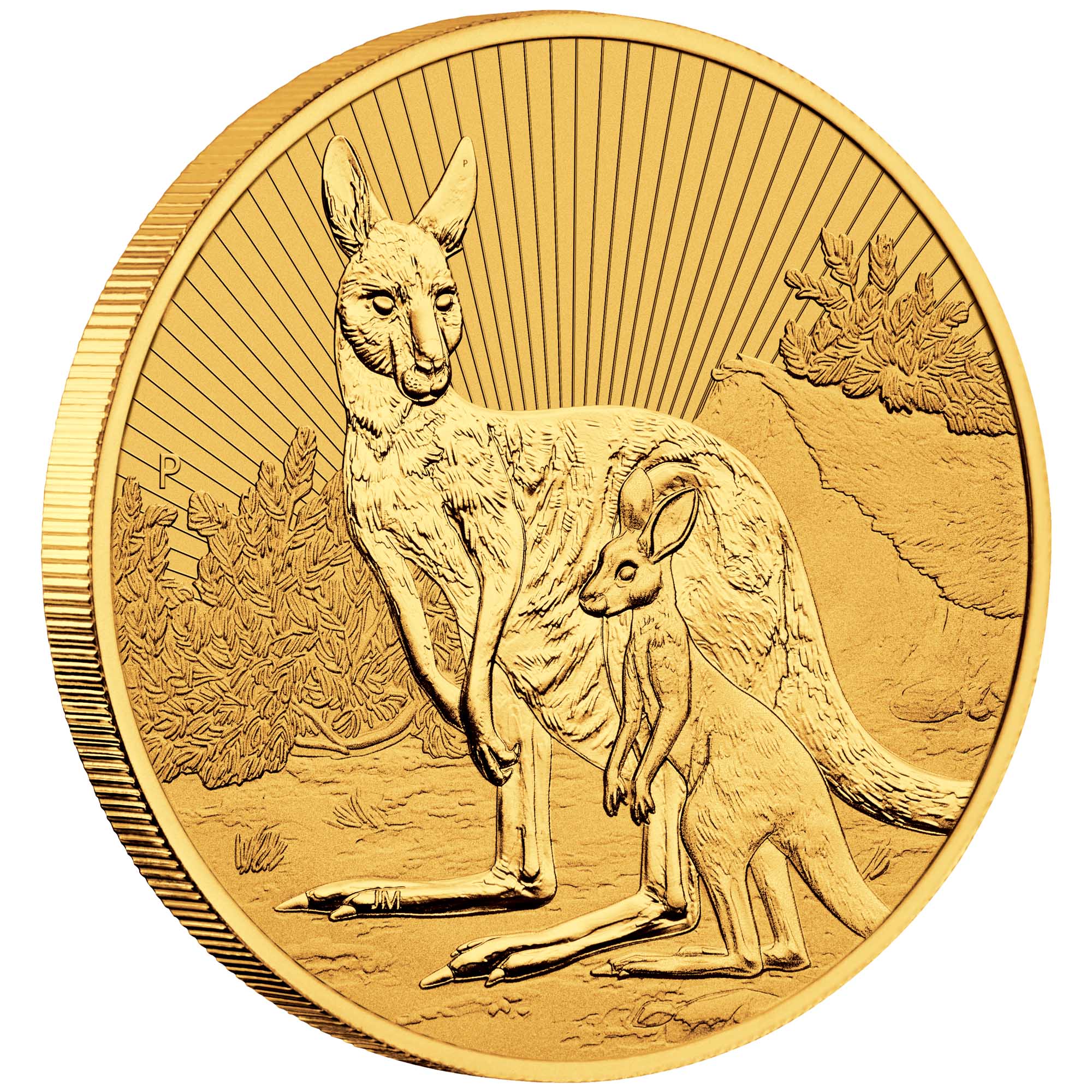 01 2023  Australian Kangaroo Mother & Baby  2oz Gold Bullion OnEdge HighRes