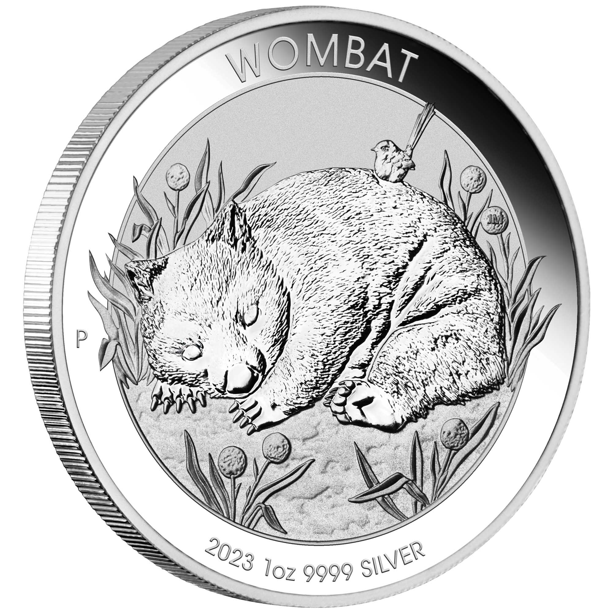 01 Wombat 2023 1oz Silver Bullion Coin OnEdge HighRes