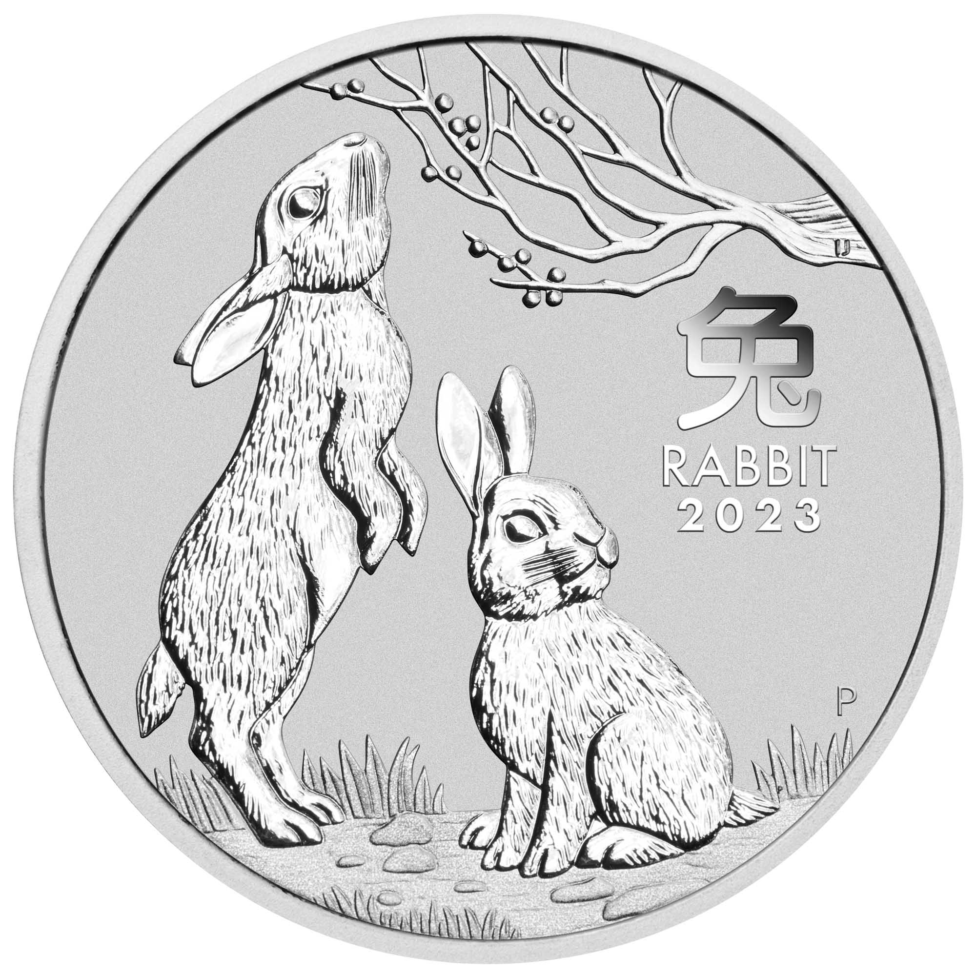 05 2023 YearoftheRabbit Silver Bullion Coin StraightOn HighRes