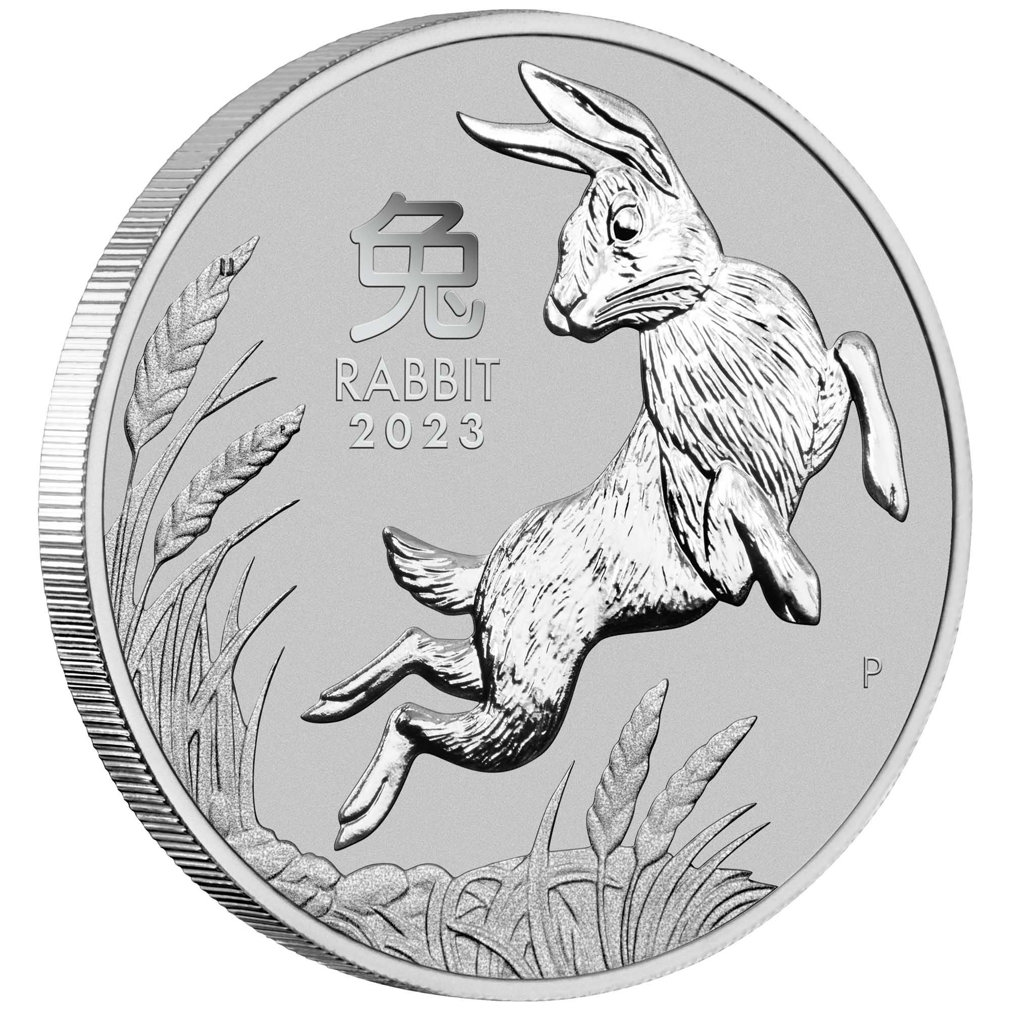 07 2023 YearoftheRabbit 1oz Platinum Bullion Coin OnEdge HighRes