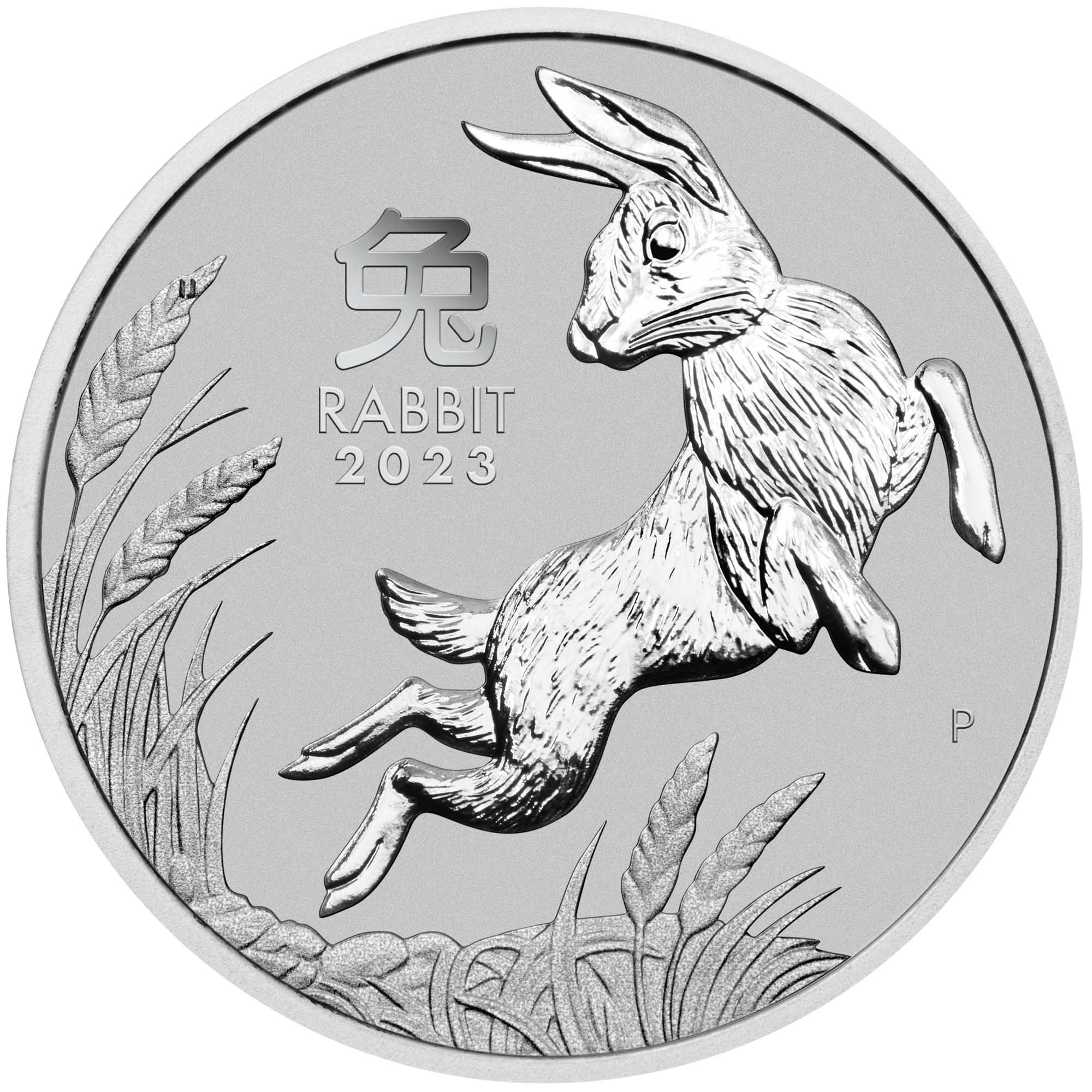 08 2023 YearoftheRabbit 1oz Platinum Bullion Coin StraightOn HighRes