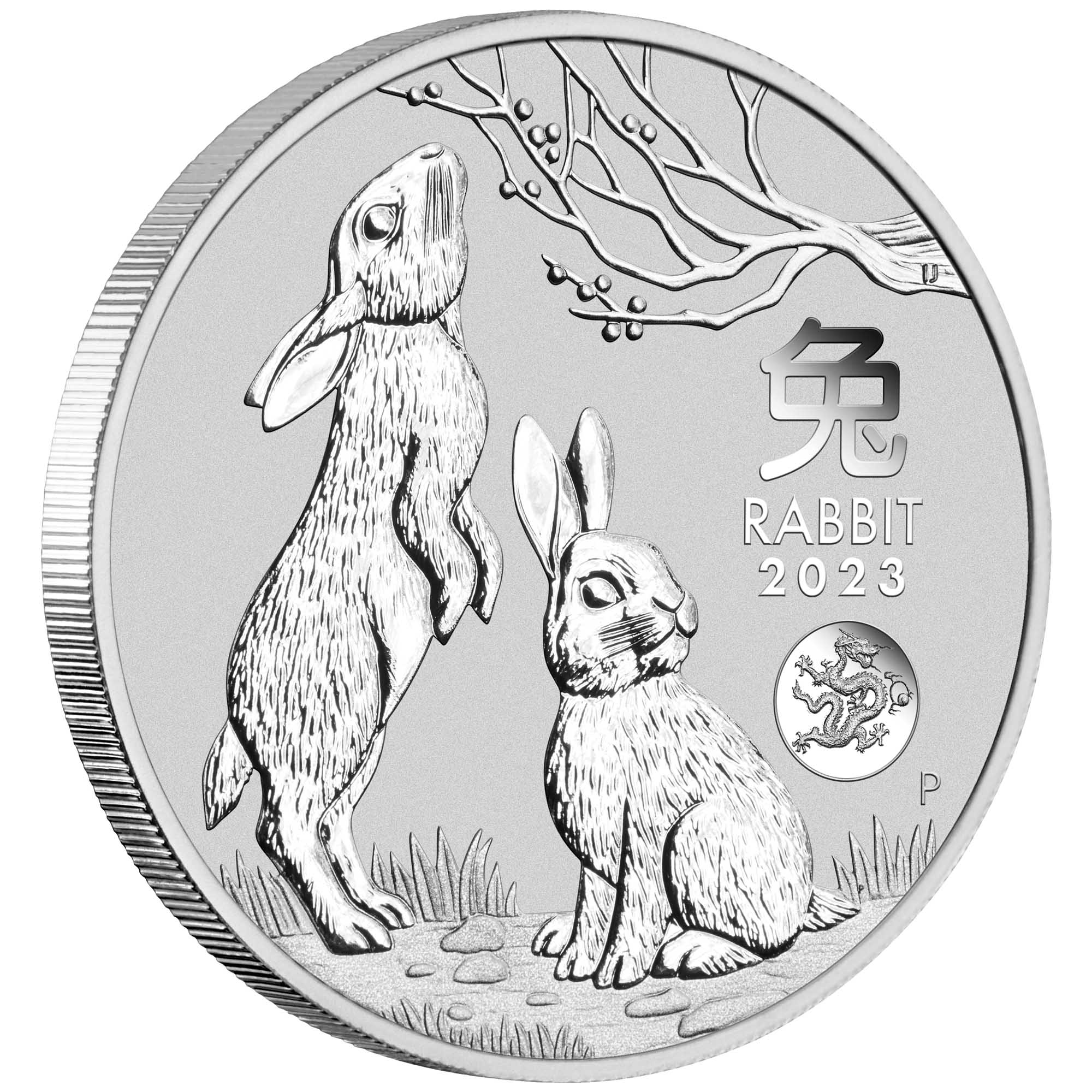 01 2023 Year of the Rabbit 1oz Silver Coin With Dragon Privy OnEdge HighRes