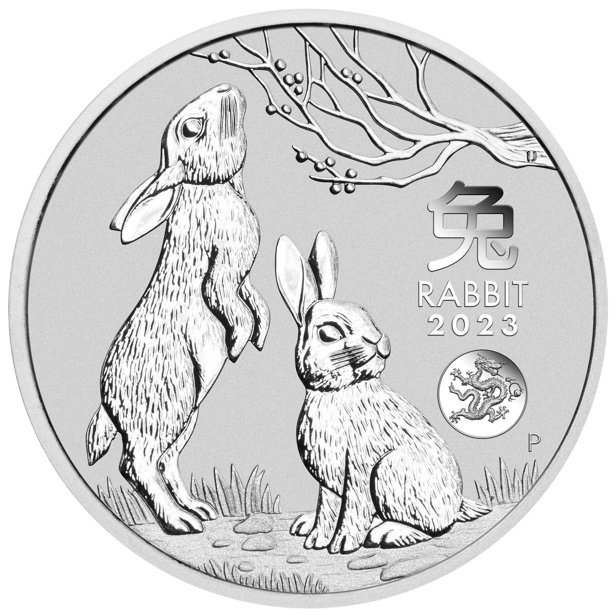 02 2023 Year of the Rabbit 1oz Silver Coin With Dragon Privy StraightOn HighRes