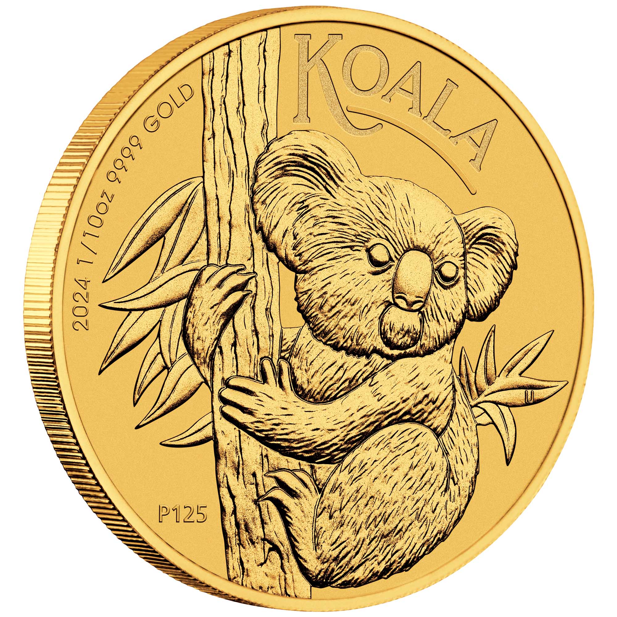 01 2024 Australian Koala 1 10oz Gold Bullion Coin on edge HighRes