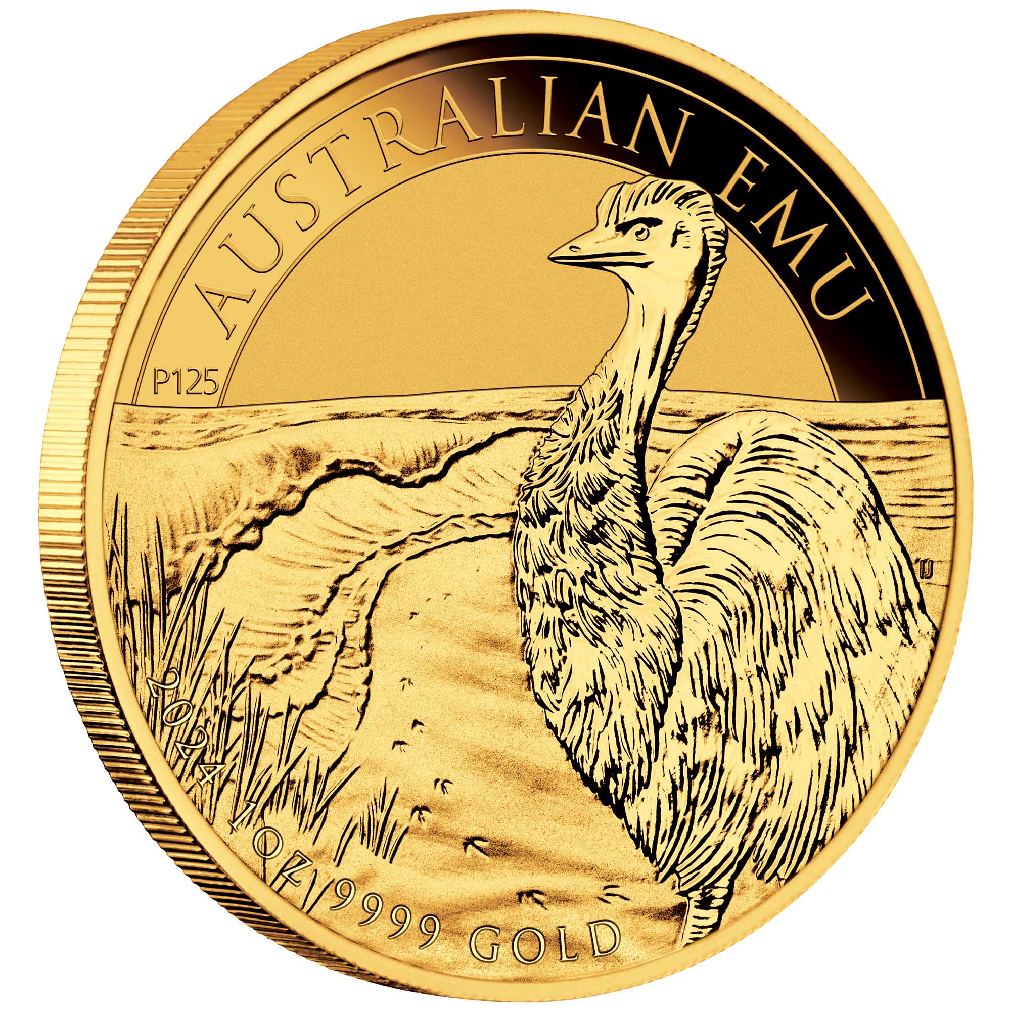 01 2024 Australian Emu 1oz Gold Bullion Coin OnEdge HighRes