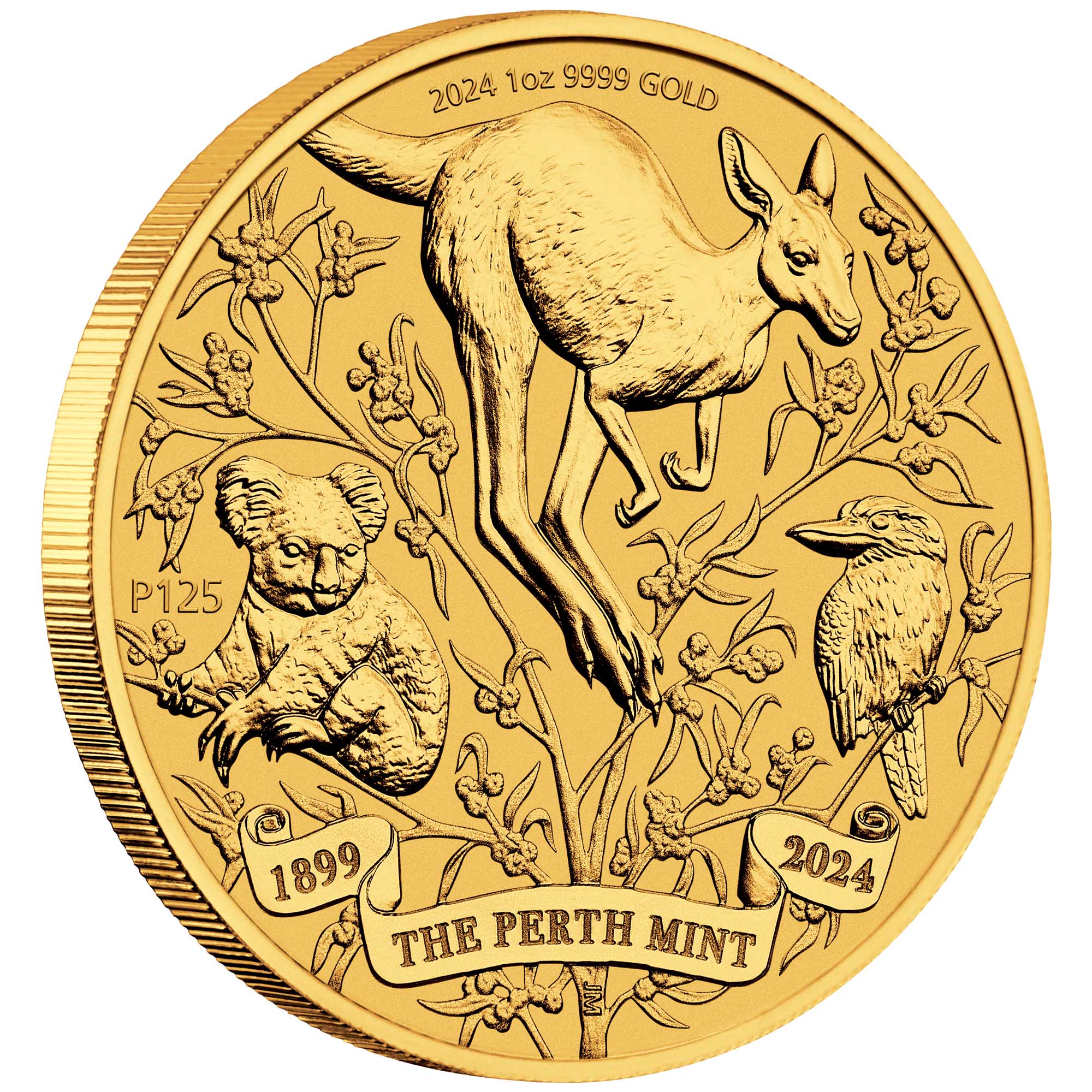 01 2024 The Perth Mint’s 125th Anniversary1oz Gold Bullion Coin OnEdge HighRes