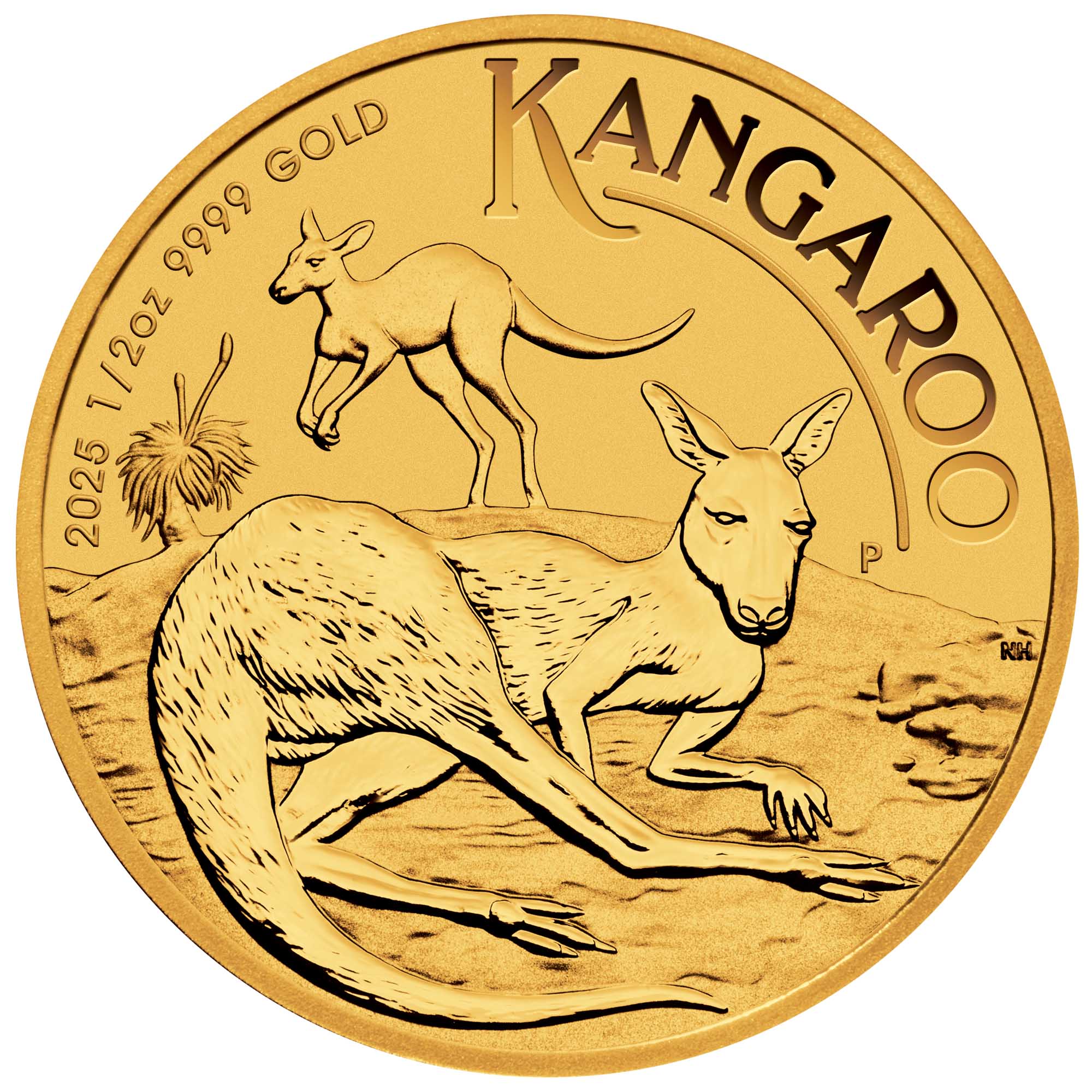 05 2025 AusKangaroo Gold 1 2oz Bullion StraightOn HighRes