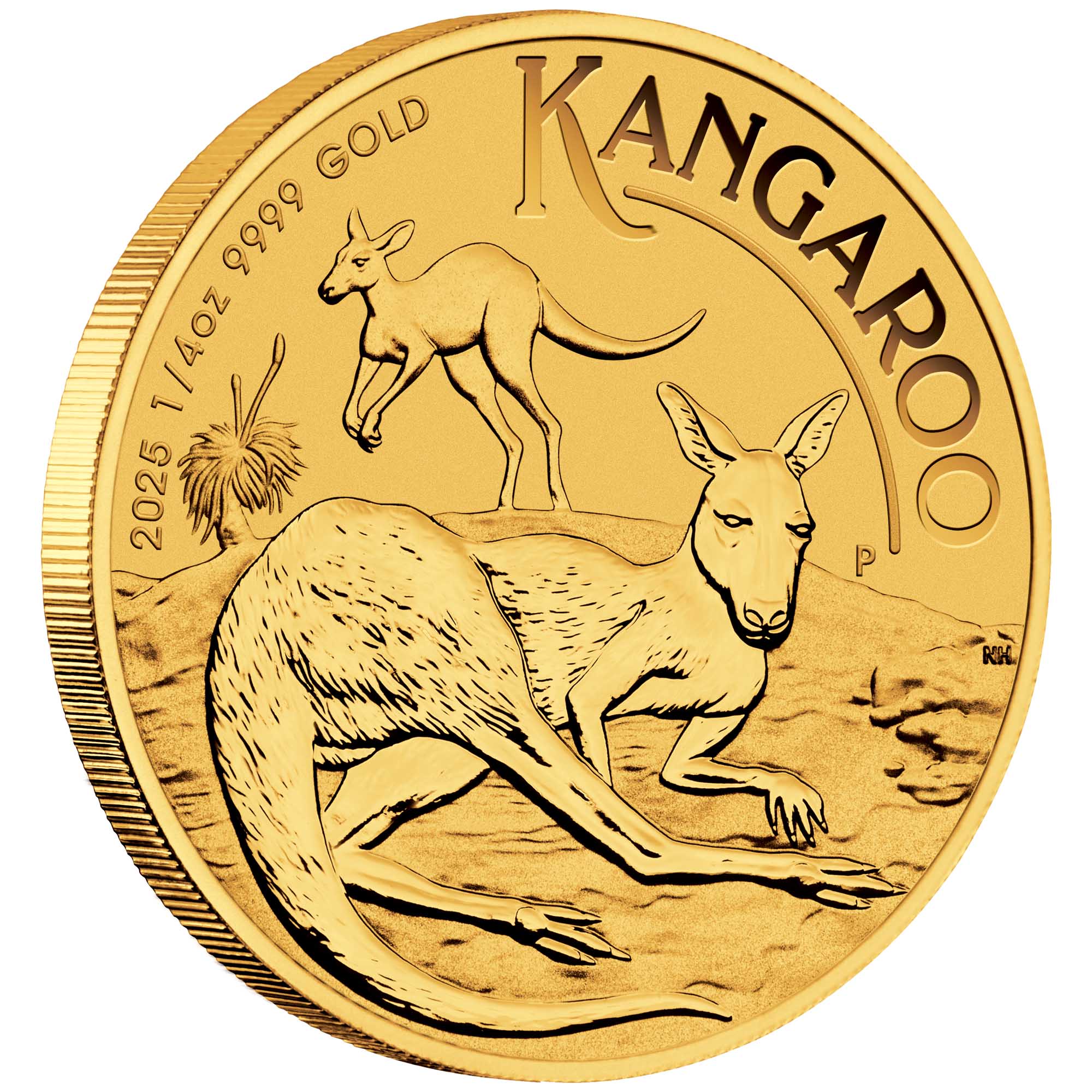 07 2025 AusKangaroo Gold 1 4oz Bullion OnEdge HighRes
