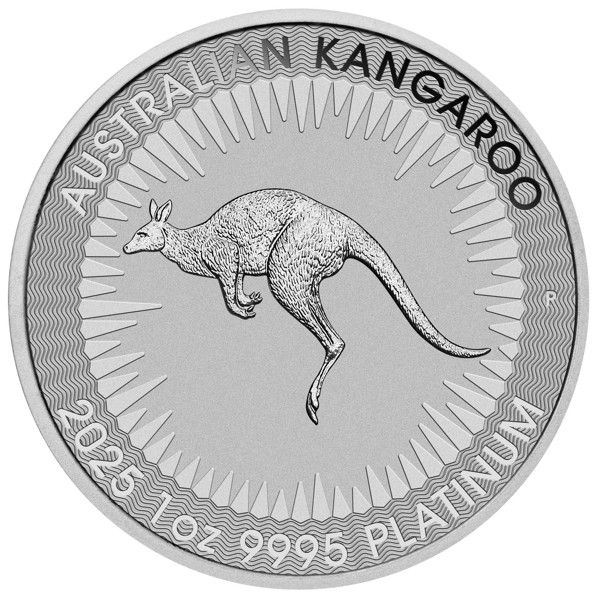 02 2025 Australian Kangaroo 1oz Platinum Bullion Coin straight on HighRes