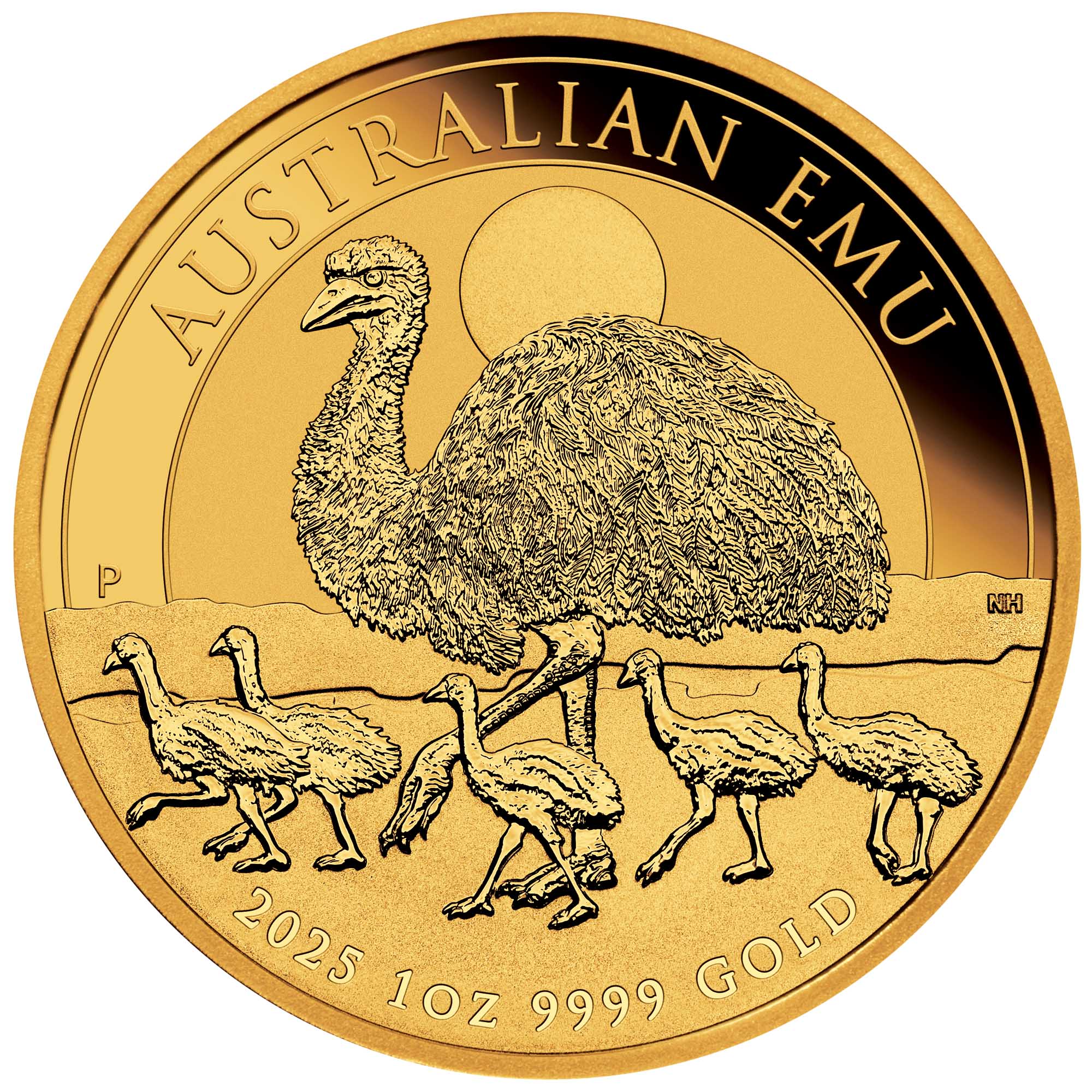 05 2025 Australian Emu 1oz Gold Bullion Coin StraightOn HighRes