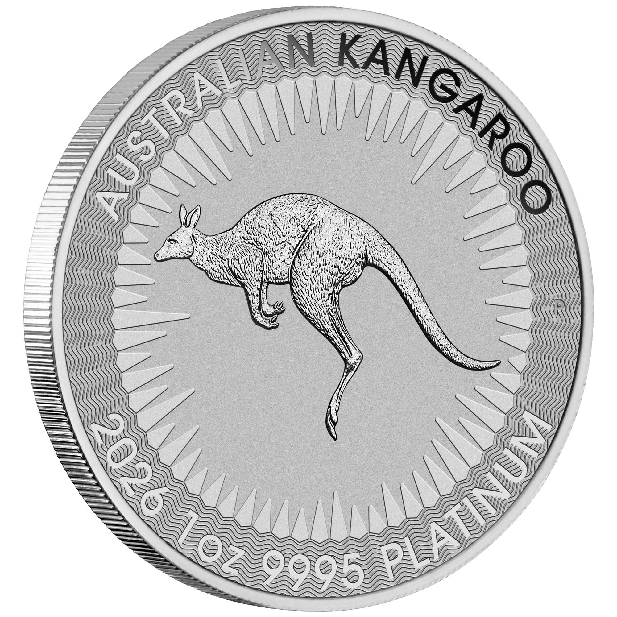 01 2026 Australian Kangaroo 1oz Platinum Bullion Coin on edge HighRes