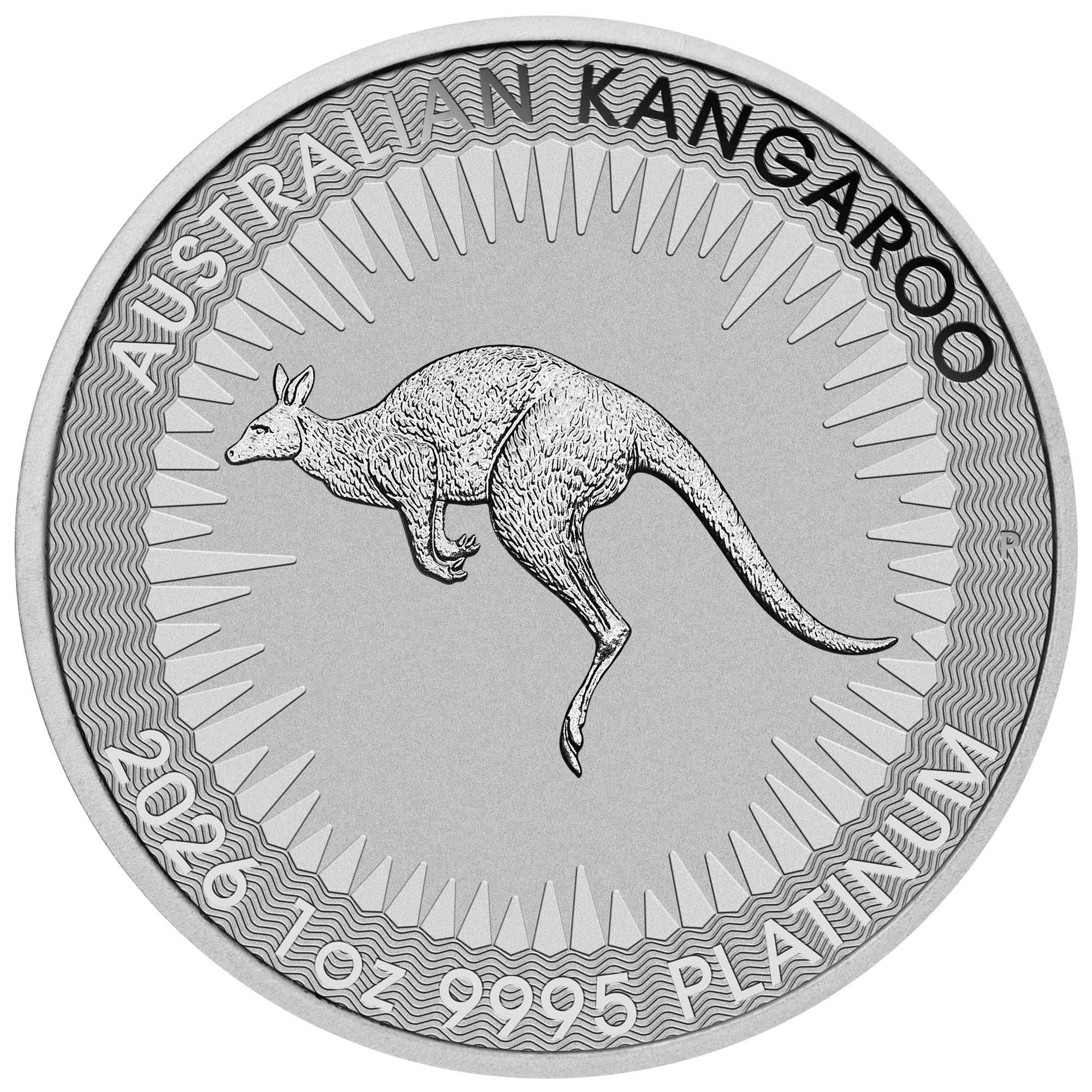 02 2026 Australian Kangaroo 1oz Platinum Bullion Coin straight on HighRes