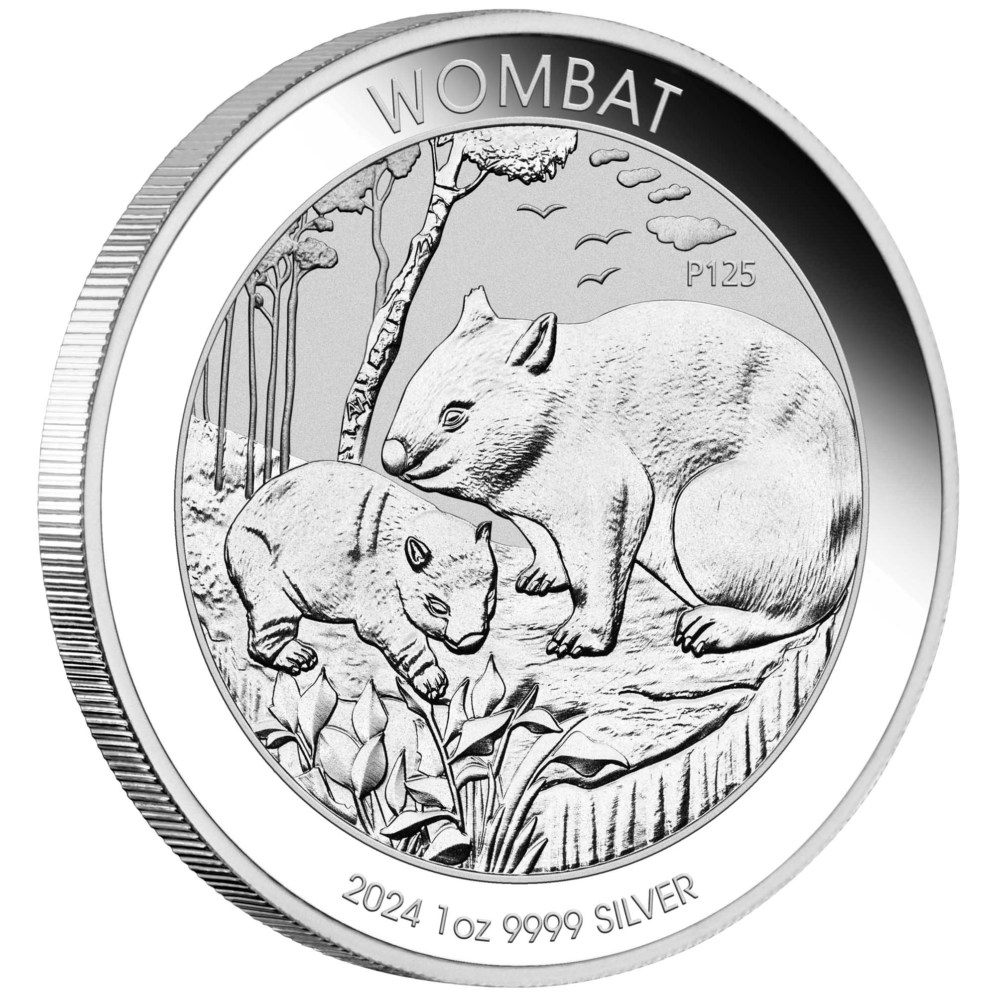 01 2024 Australian Wombat 1oz Silver Bullion Coin OnEdge HighRes