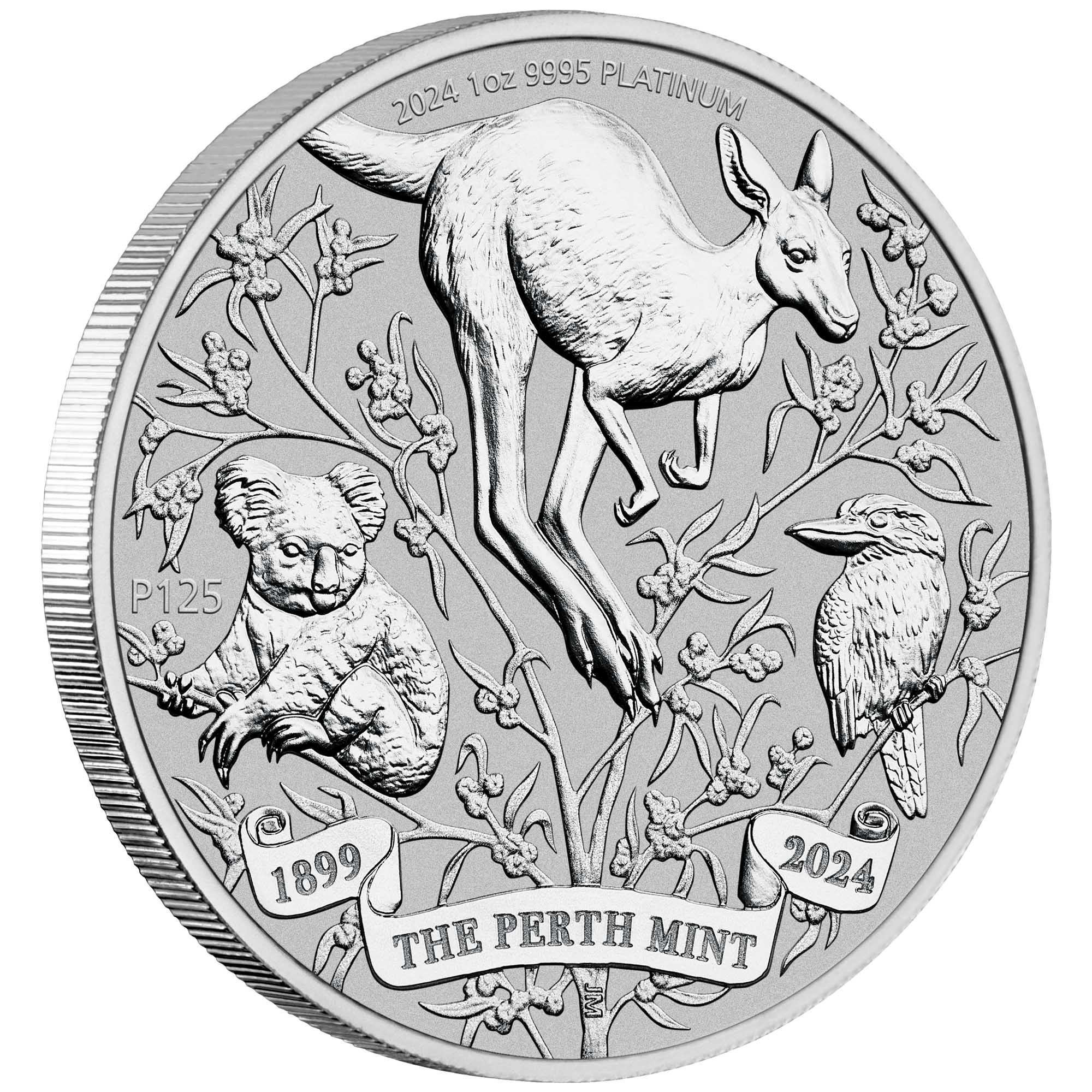 07 2024 The Perth Mint’s 125th Anniversary1oz Platinum Bullion Coin OnEdge HighRes