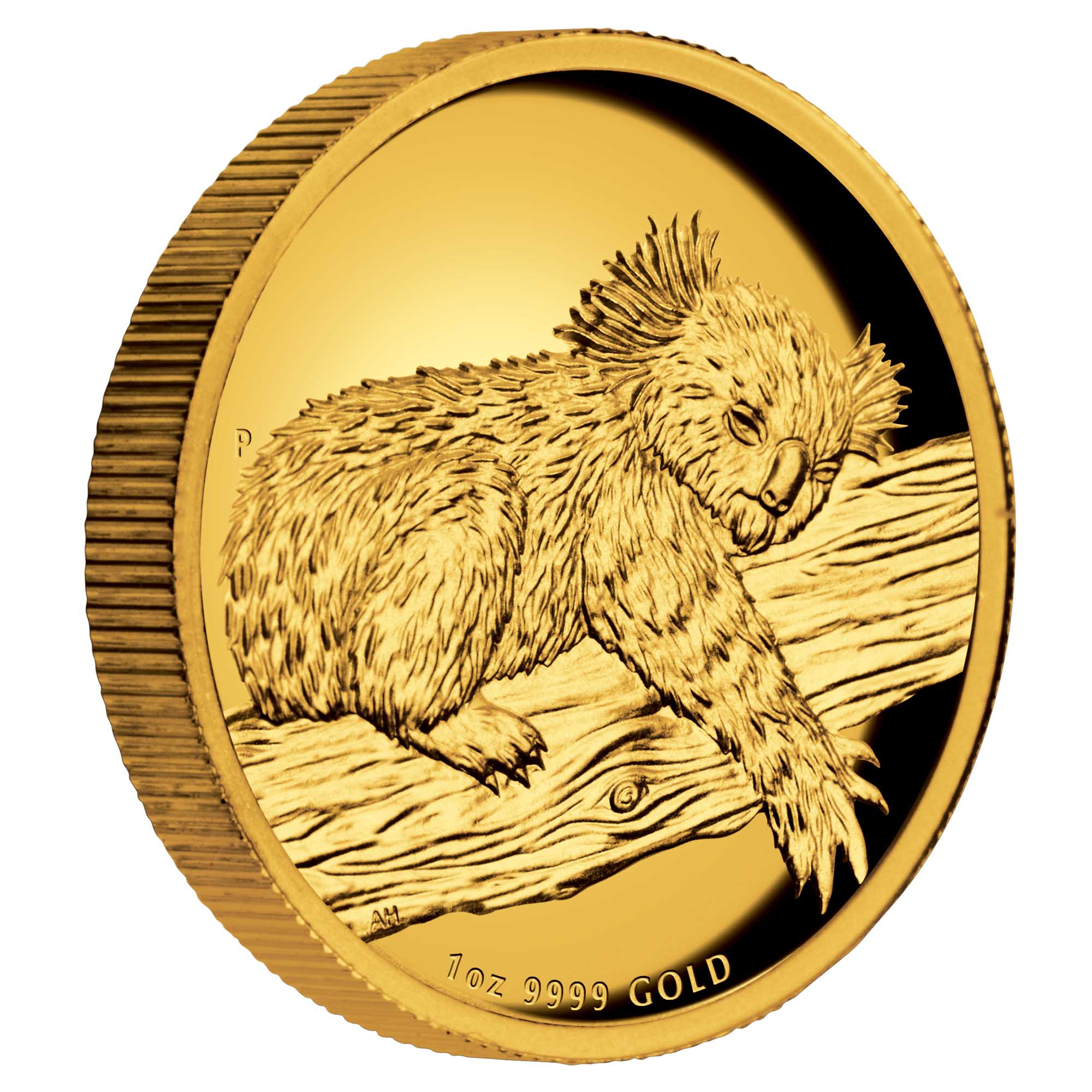 07 2012 AustralianKoala 1oz Gold HighRelief OnEdge HighRes