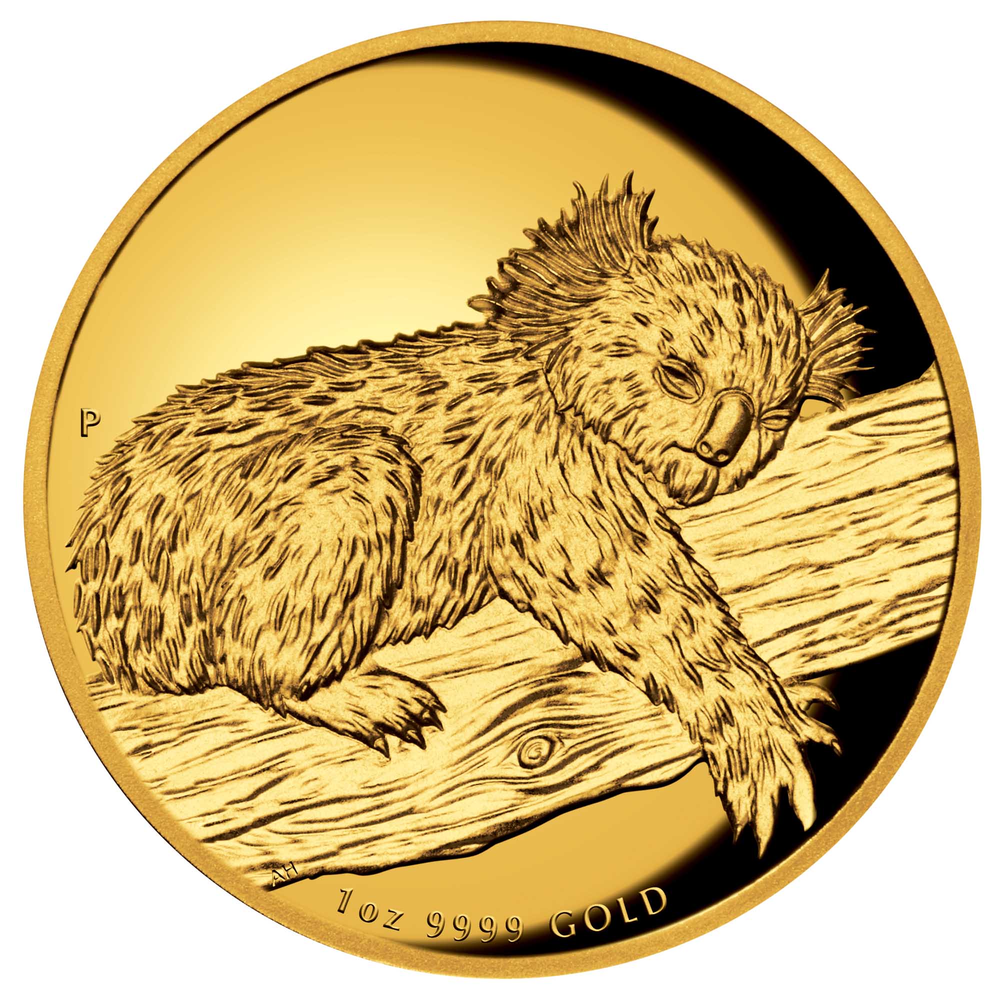 08 2012 AustralianKoala 1oz Gold HighRelief StraightOn HighR