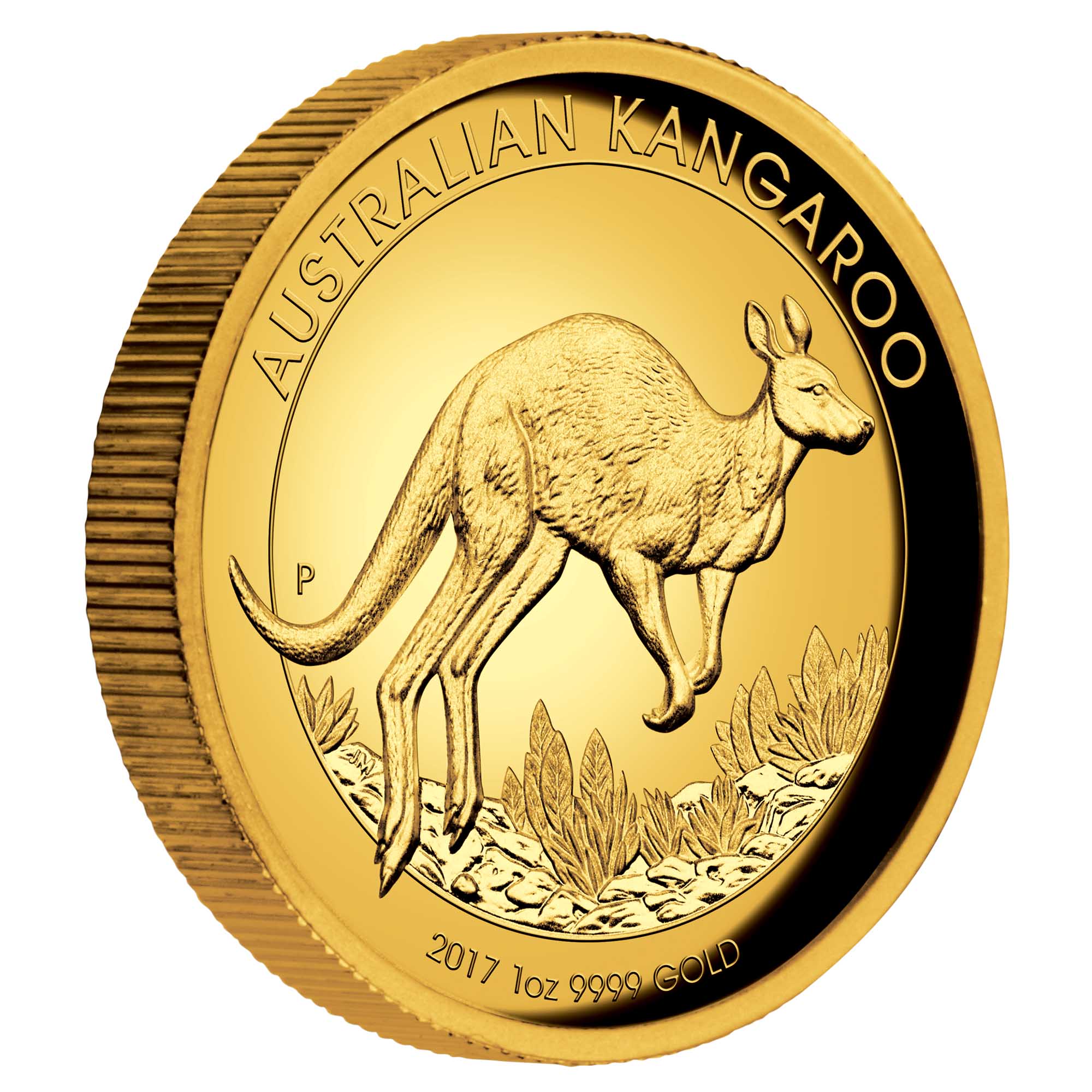 01 2017 AustralianKangaroo Gold 1oz Proof HighRelief OnEdge HighRes
