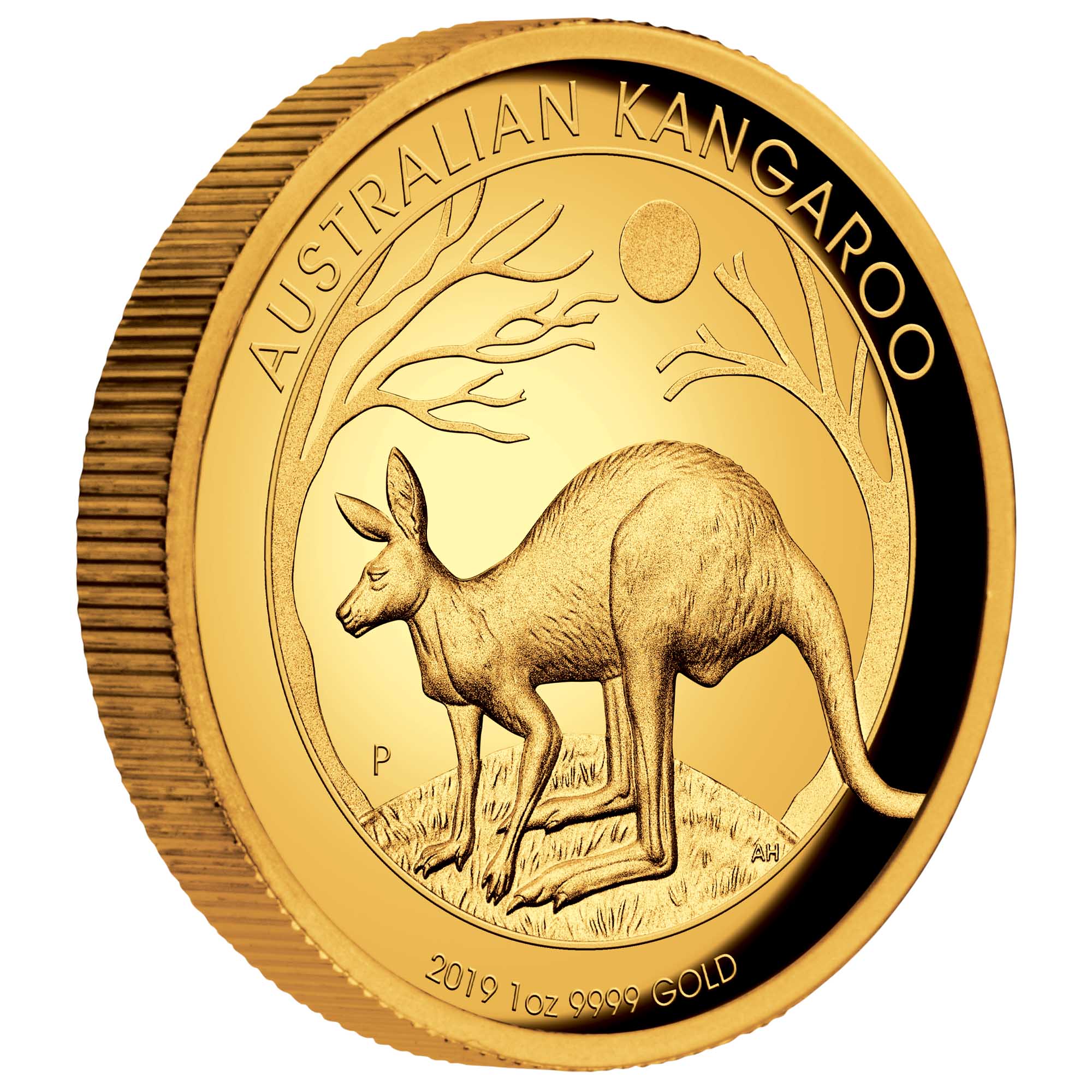 01 australian kangaroo 2019 1oz gold proof high relief OnEdge