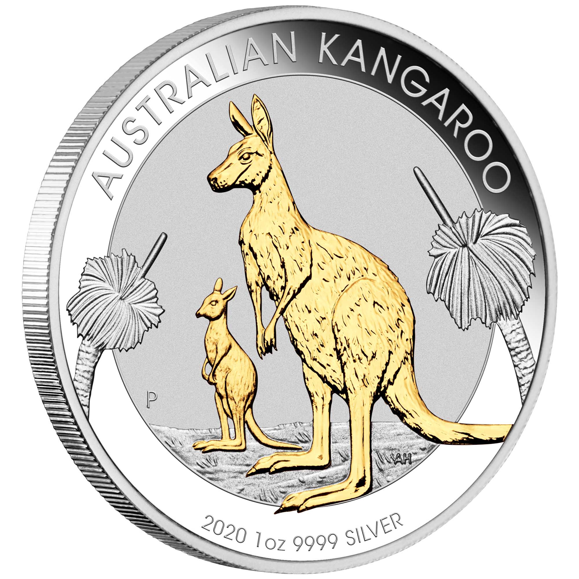 01 australian kangaroo 1oz silver gilded coin 2020 1oz silver gilded OnEdge