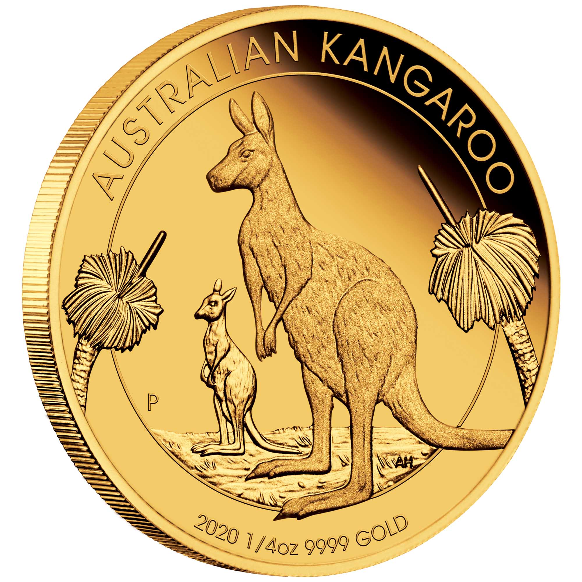 01 australian kangaroo 2020 1 4oz gold proof OnEdge