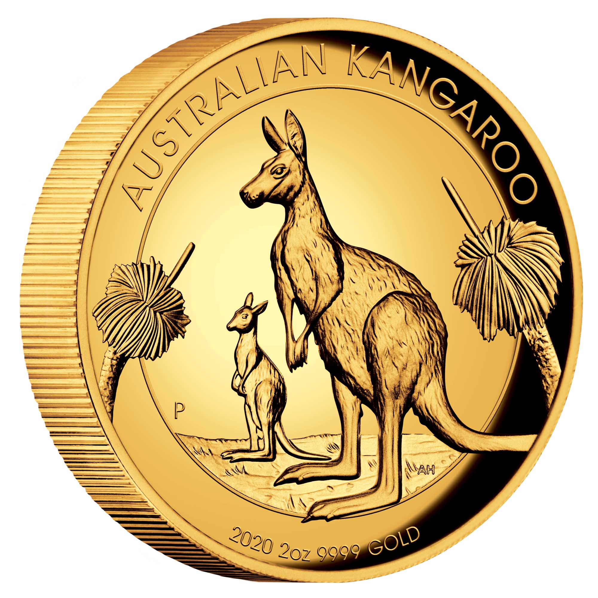 01 Australian Kangaroo 2020 2oz Gold Proof High Relief Coin OnEdge HighRes