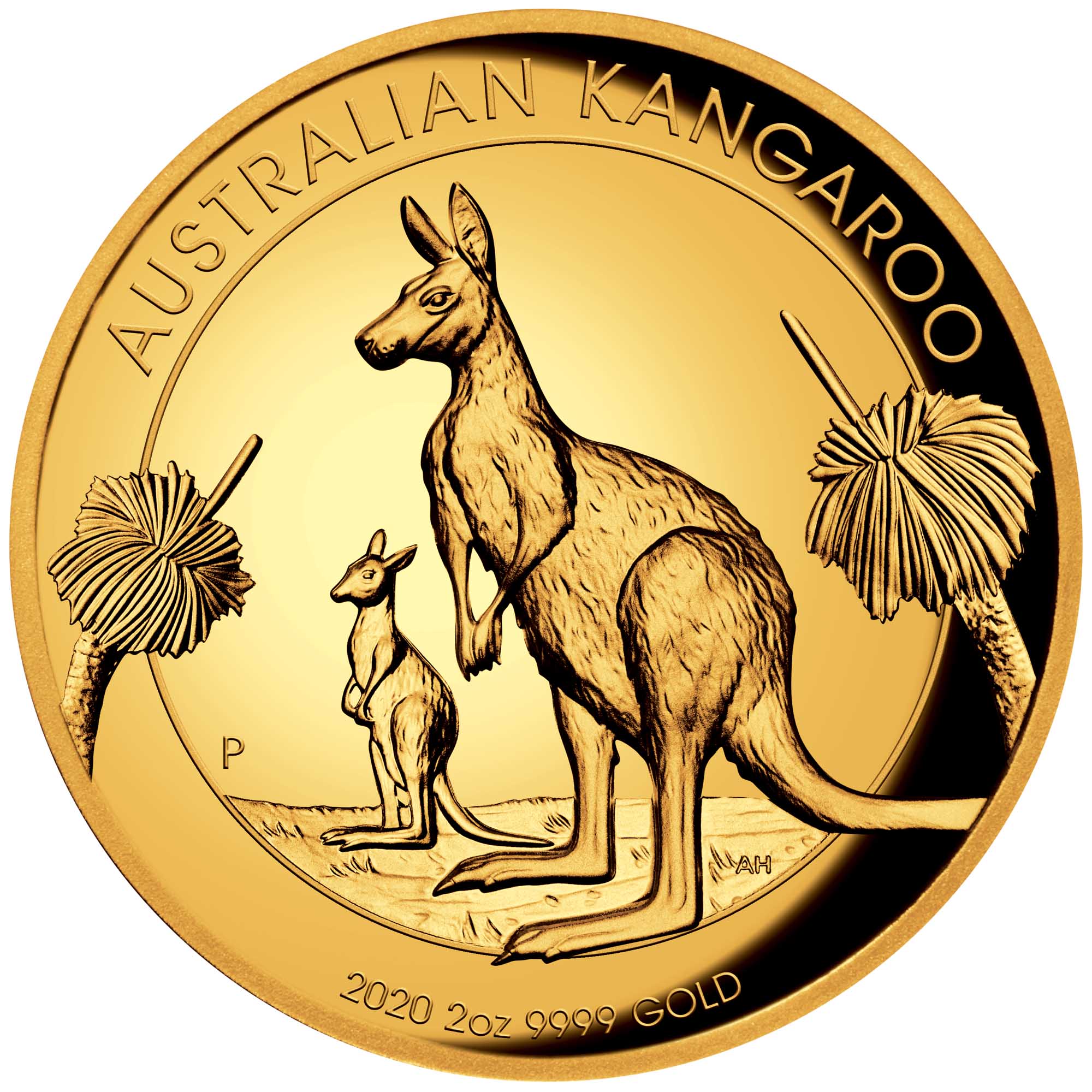 02 Australian Kangaroo 2020 2oz Gold Proof High Relief Coin StraightOn HighRes